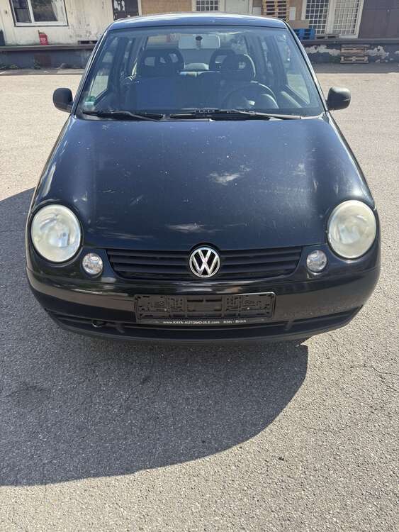 Lupo