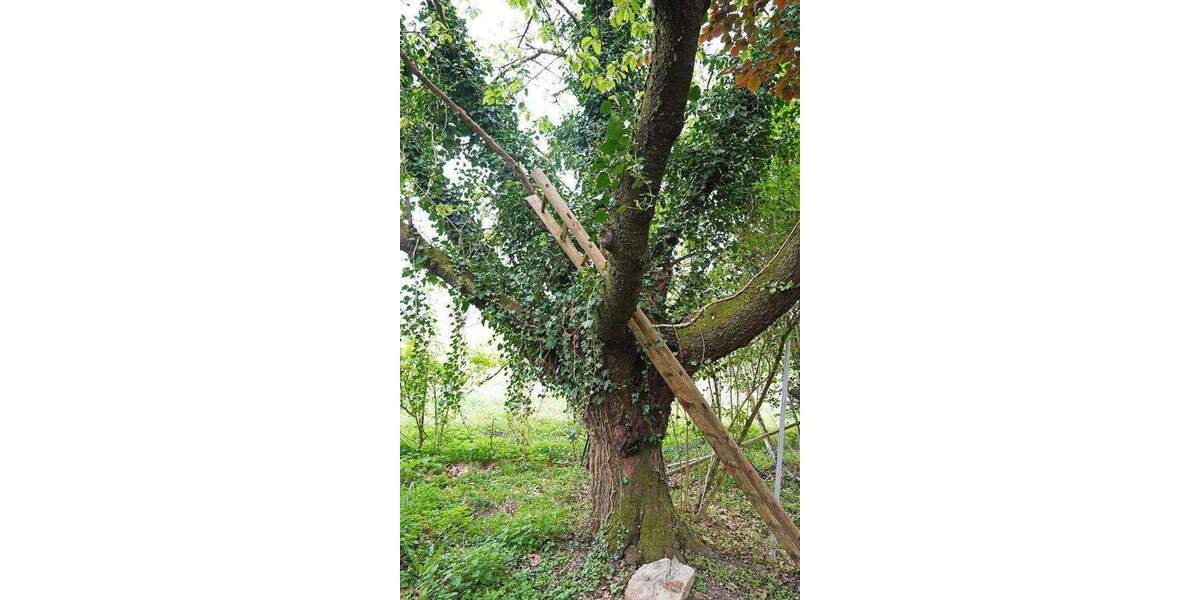 Doppelbungalow, Weideland, Stallung 4 zimmer