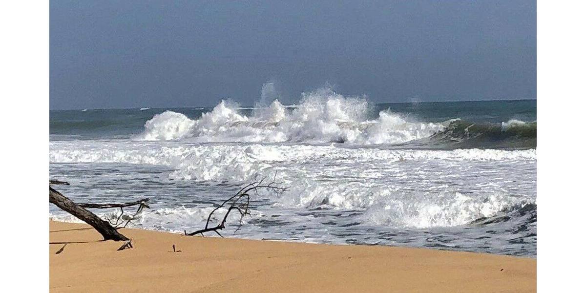 Grundstück in Costa Rica in einer der blauen Zonen der Erde - Grundstück Köln | Angebot:6359382