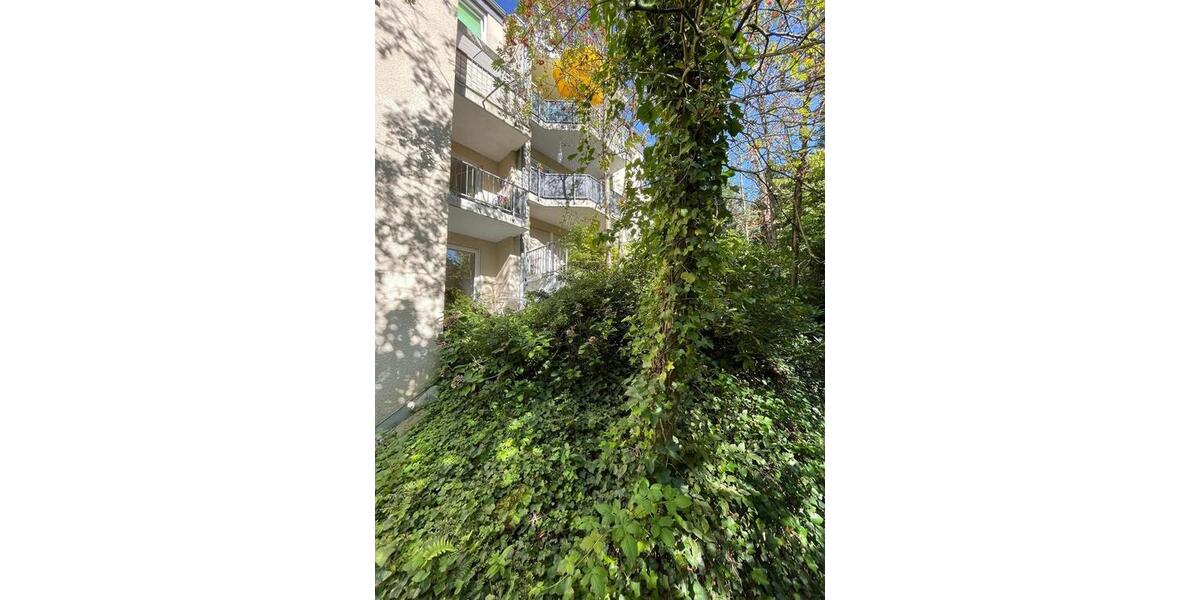 Etagenwohnung Solingen Burg - 2.5 Zimmer, 57 m&sup2;, 283&euro; | Angebot:25126951