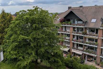 Wohnung Solingen Burg - 1 Zimmer, 60 m&sup2;, 475&euro; | Angebot:27008390